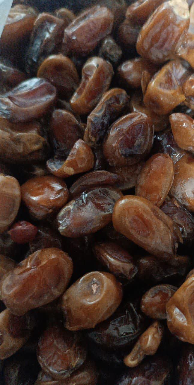 خرما بی هسته